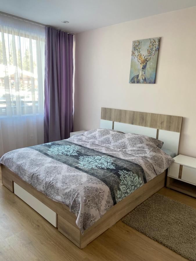 Apartment In Studenets, Pamporovo Dış mekan fotoğraf